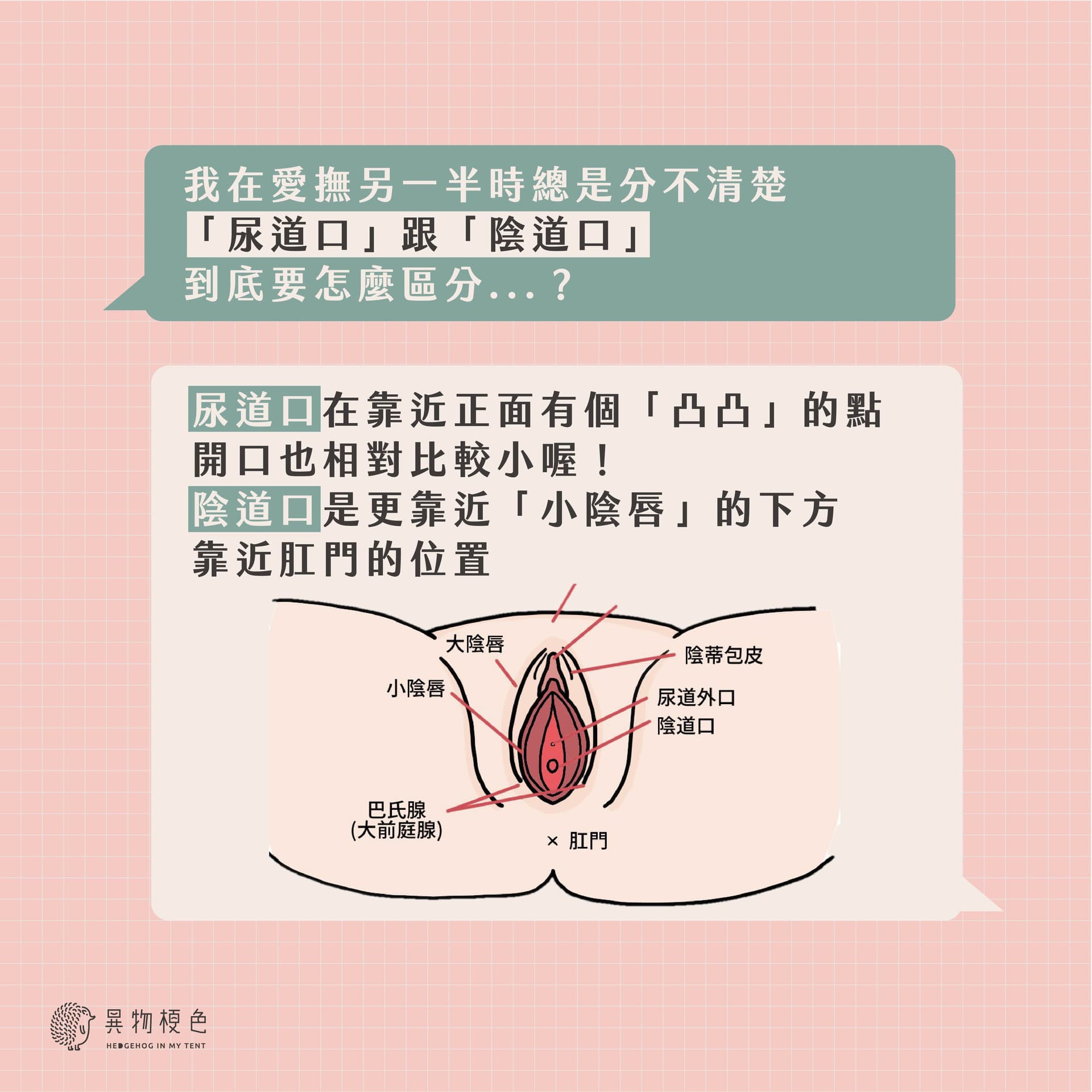 20220326 女體撩慾-04|500x500, 75%